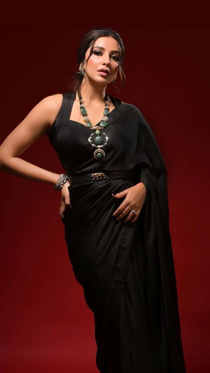 bengali-actress-subhashree-ganguly-unbeatable-saree-looks