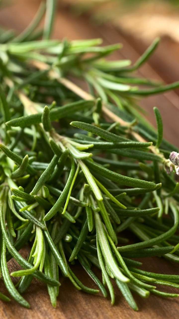 Top 6 Rosemary Hacks For Healthy And Shiny Hair