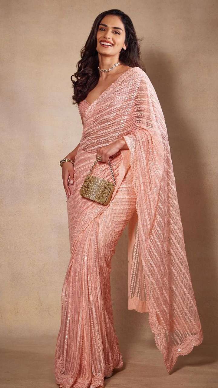 Manushi Chillar's Blush Pink Saree is Draped to Pure Pastel