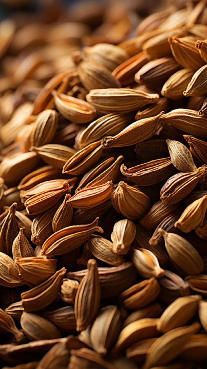 Image of Cumin Seeds or Jeera On an Isolated White Background-VC644215-Picxy