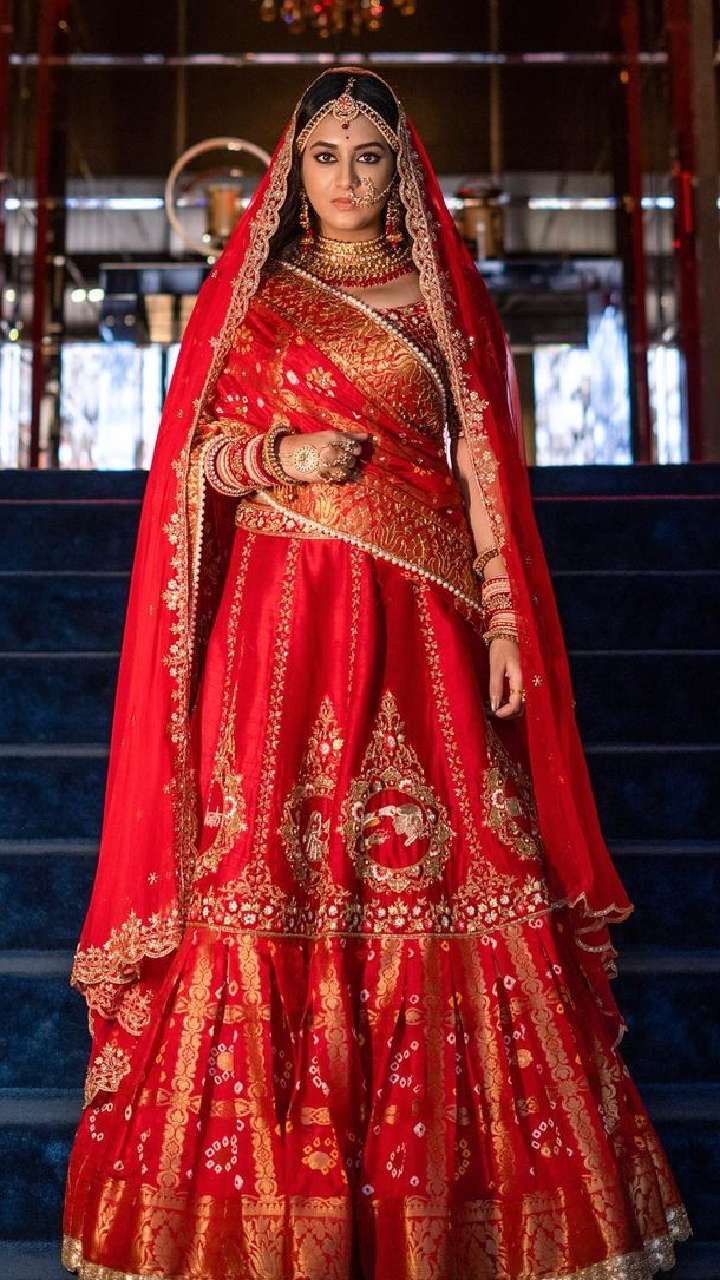 Reception Lehenga - Etsy Canada