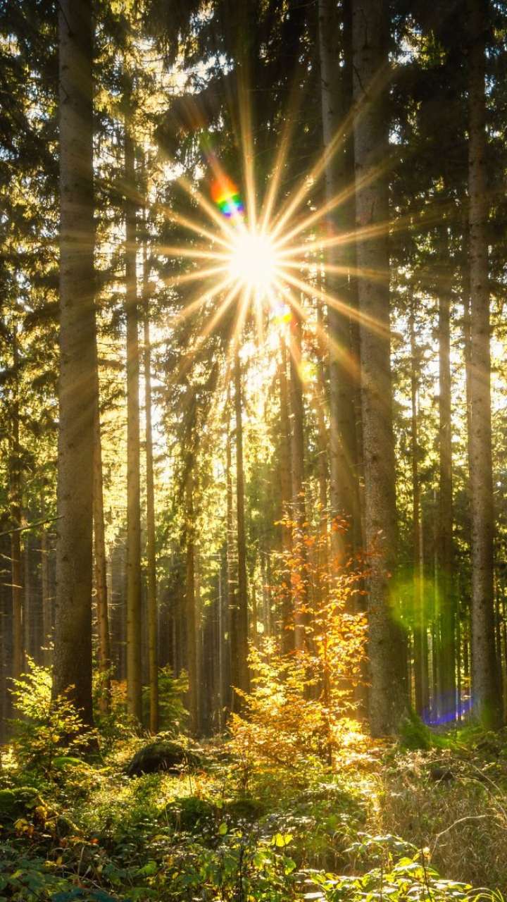 6 Best Places To Visit In India During Spring Season