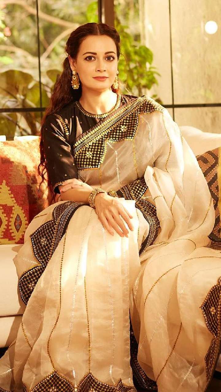 5 Traditional Sarees From Dia Mirza's Closet For Every Occasion